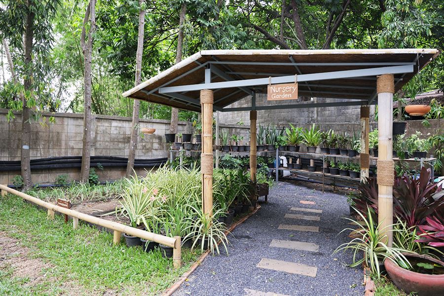 Our Nursery Garden
